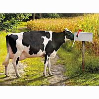 COW IN MAILBOX CARD