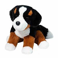 BOWIE BERNEASE MT DOG