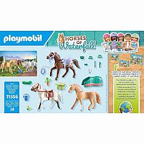 PM HORSE MORGAN QUARTER SHAGYA