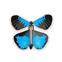 WIND UP BUTTERFLY