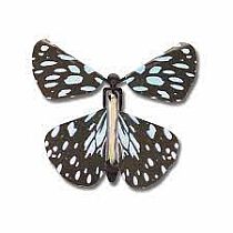 WIND UP BUTTERFLY
