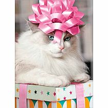 CAT W BOW ON HEAD BD CARD