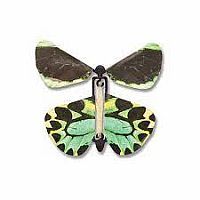 WIND UP BUTTERFLY
