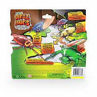 HEXBUG REAL BUGS 5 PK