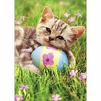 KITTEN AND EASTER EGG CARD