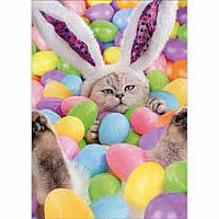 BUNNY CAT W EASTER EGGS CARD