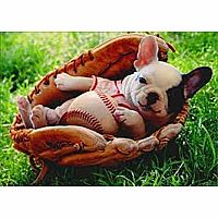 BASEBALL MITT PUPPY CARD