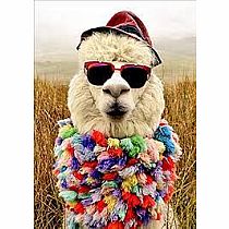 ALPACA W FEDORA BD CARD