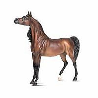 BREYER RD MORCIEA BEY