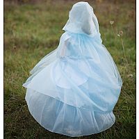 Blue Mesh Princess Cape
