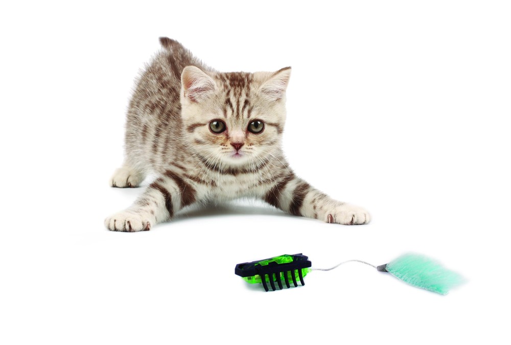 Hexbug Nano Pet Toy Over the Rainbow
