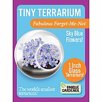 TINY TERRIUMS FLOWERING
