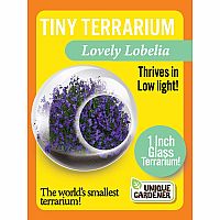 TINY TERRIUMS FLOWERING