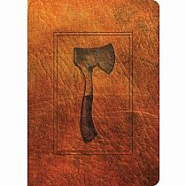 HATCHET---GARY PAULSON  NEWBERY