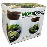 MOSS BOWL GROW YOUR OWN OASIS