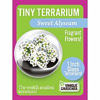 TINY TERRIUMS FLOWERING