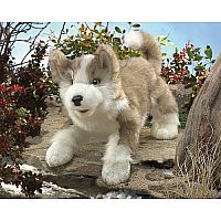 Wolf Pup Puppet