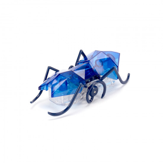 Hexbug ant on sale