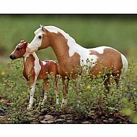 Breyer Misty and Stormy Set with Book