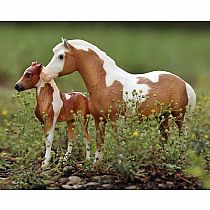 Breyer Misty and Stormy Set with Book