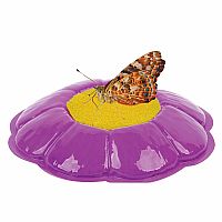 Live Butterfly Garden