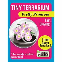 TINY TERRIUMS FLOWERING