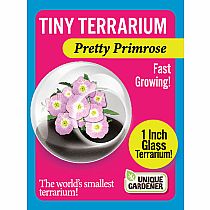 TINY TERRIUMS FLOWERING