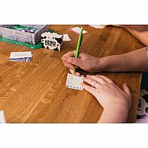 HERD MENTALITY CARD GAME