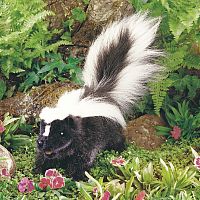 SKUNK HAND PUPPET