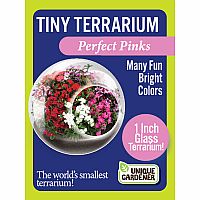 TINY TERRIUMS FLOWERING