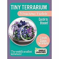 TINY TERRIUMS FLOWERING