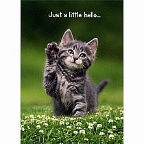 KITTEN HELLO FRIENDSHIP CARD