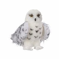 Wizard Snowy Owl