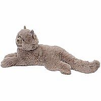 JULIETTE PERSIAN CAT