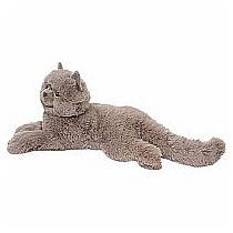 JULIETTE PERSIAN CAT