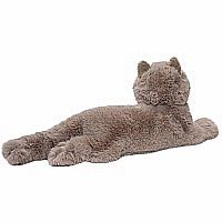 JULIETTE PERSIAN CAT