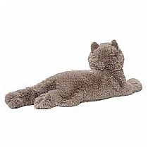 JULIETTE PERSIAN CAT