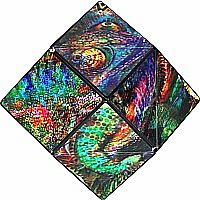 SHASHIBO THE CHAMELEON