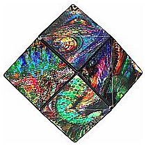 SHASHIBO THE CHAMELEON