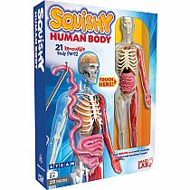 Squishy Human Body
