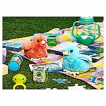 COLORFUL CHICK ASS'T