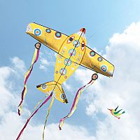 GIANT MAXI PLANE KITE