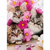 3 KITTIES BIRTHDAY HUG CARD