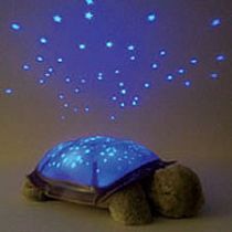 Twilight Turtle